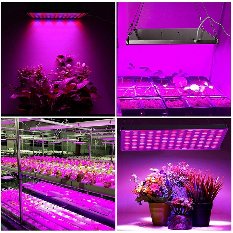 SolarBros™ Grow Light 225 LED Full Spectrum Grow Light 3 Bros Brands growlight225 Electrical Equipment & Supplies