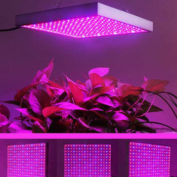 SolarBros™ LED Grow Light 1200W Indoor Plant Growing Lamp 3 Bros Brands growlight Electrical Equipment & Supplies